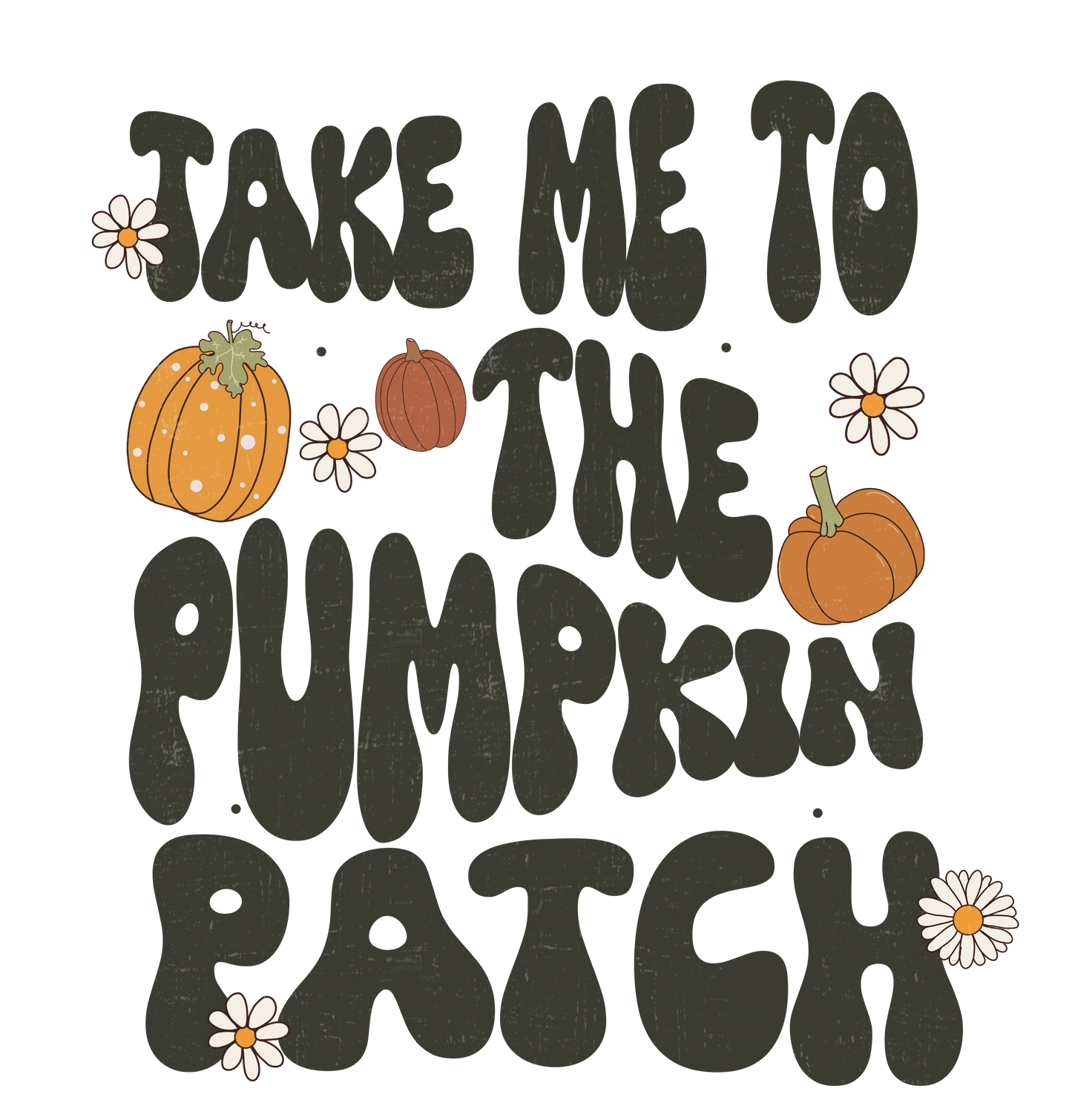 Pumpkin Patch 2