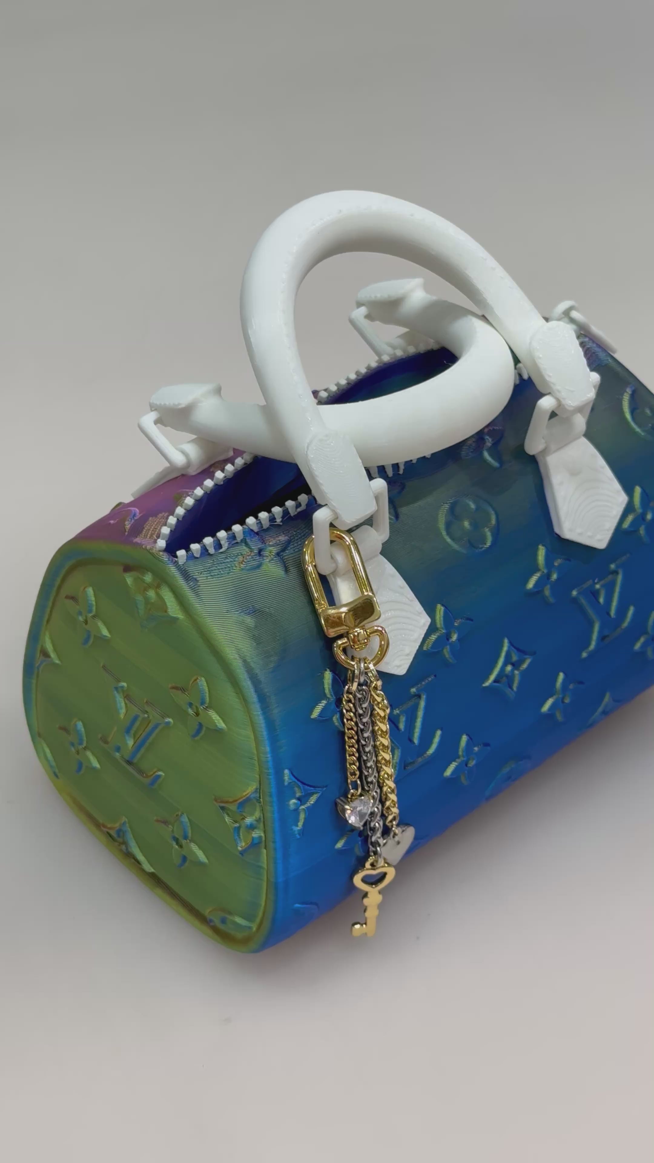 Mini Purse Organizer