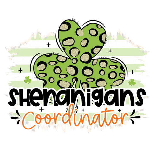 Shenanigans Coordinator